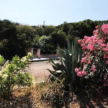 ヴィラ Panoramica La Rosa Dei Venti ヴァッレ・デッレリカ